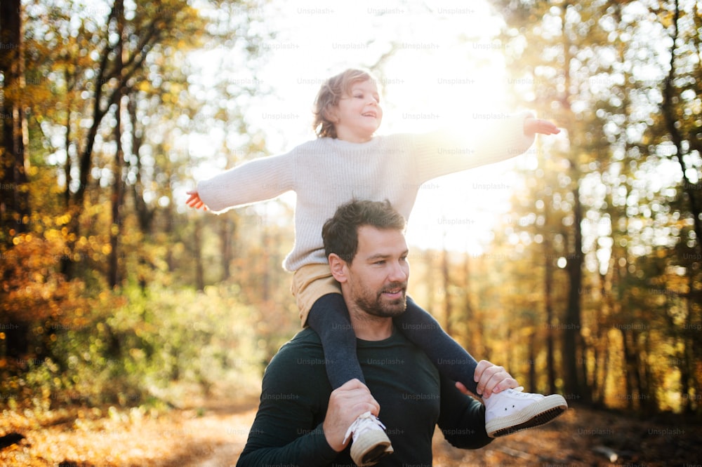 Reifer Vater, der der glücklichen kleinen Tochter Huckepack bei einem Spaziergang im Herbstwald fährt.