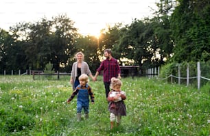 Portrait of happy family with small children walking on farm, talking.