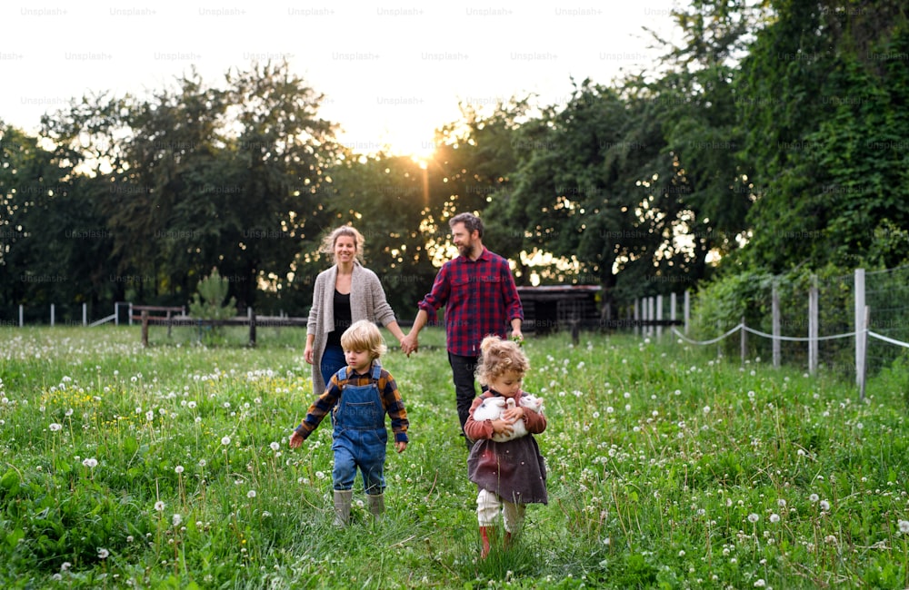 Porträt einer glücklichen Familie mit kleinen Kindern, die auf dem Bauernhof spazieren gehen und sprechen.