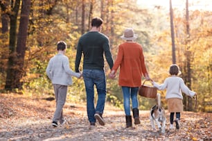 Rear view of young family with small children and dog on a walk in autumn forest, walking.