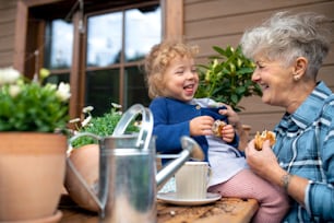 Nonna anziana con la nipotina piccola che fa giardinaggio sul balcone in estate, mangiando uno spuntino.