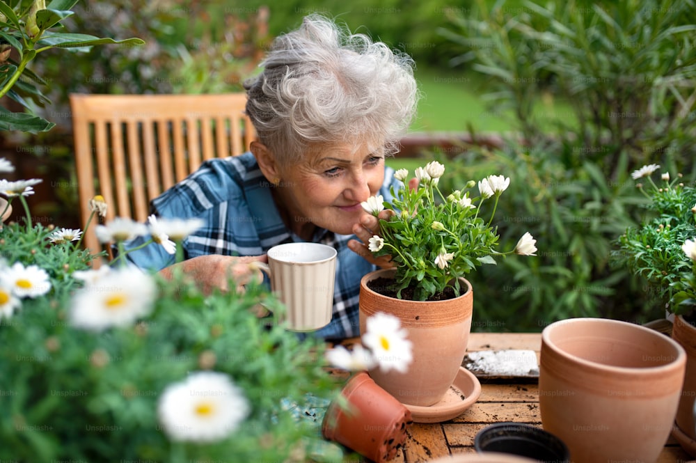 Retrato da jardinagem da mulher sênior na varanda no verão, bebendo café.