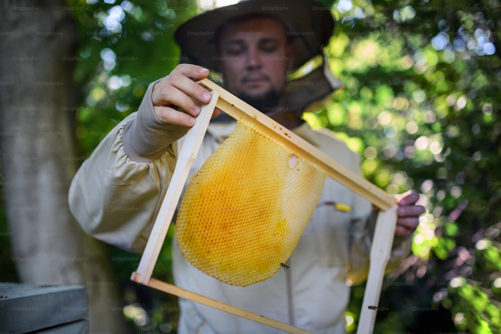 Portrait of man beekeeper holding new honeycomb frame in apiary, working.