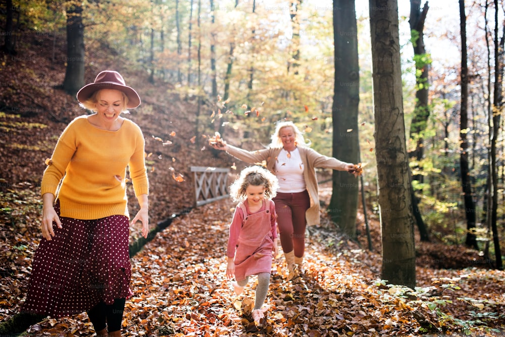 Menina pequena com mãe e avó em um passeio na floresta de outono, se divertindo.