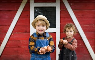 Front view portrait of small children standing on farm, holding eggs.
