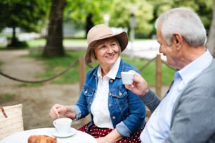 Portrait of happy senior couple in love sitting outdoors in cafe, talking.