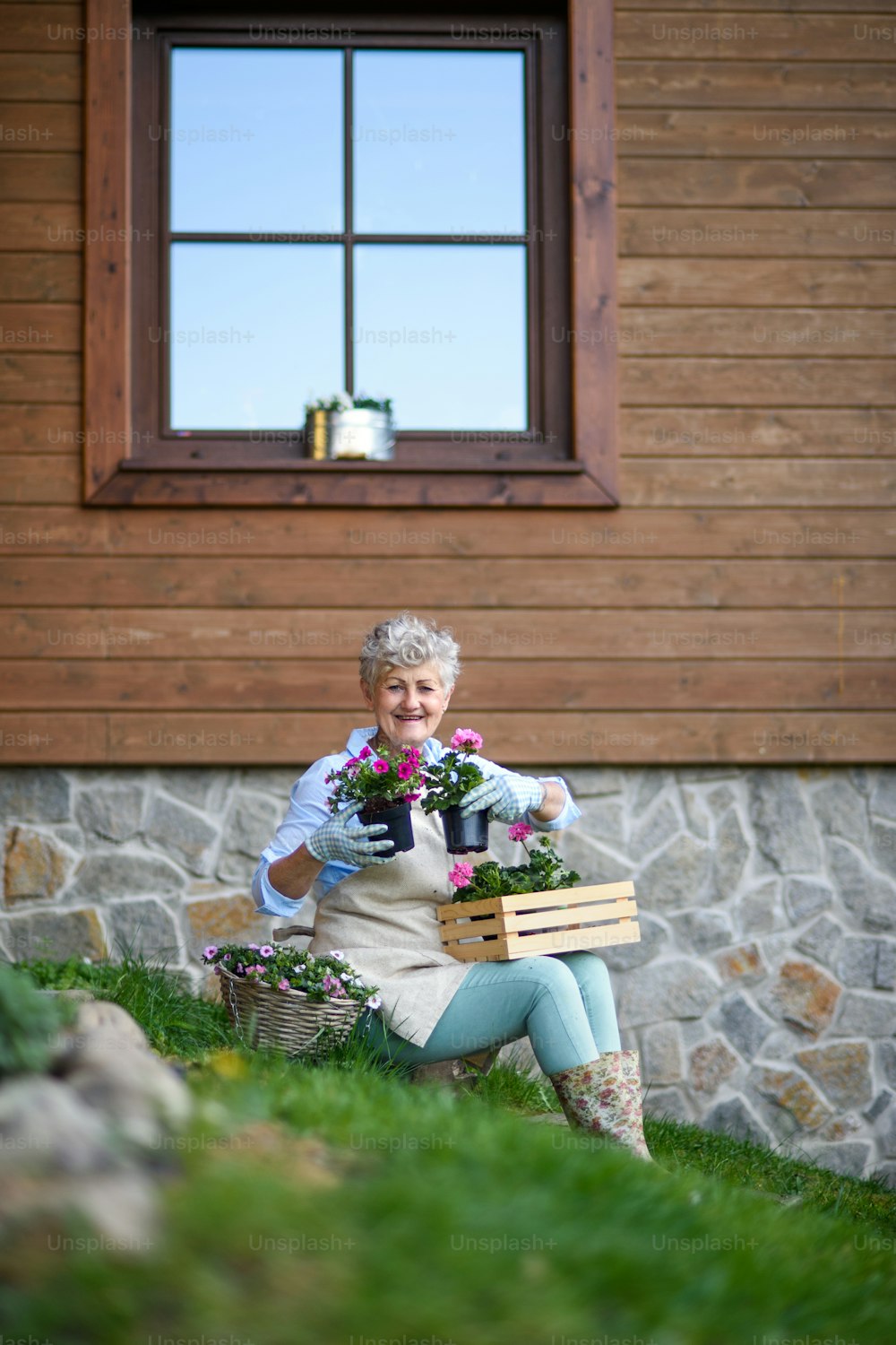 Portrait of senior woman in garden in summer, gardening.