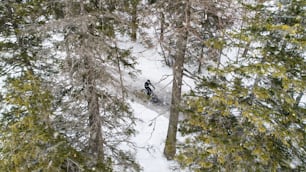 Aerial view of mountain biker riding on road covered by snow in forest outdoors in winter.
