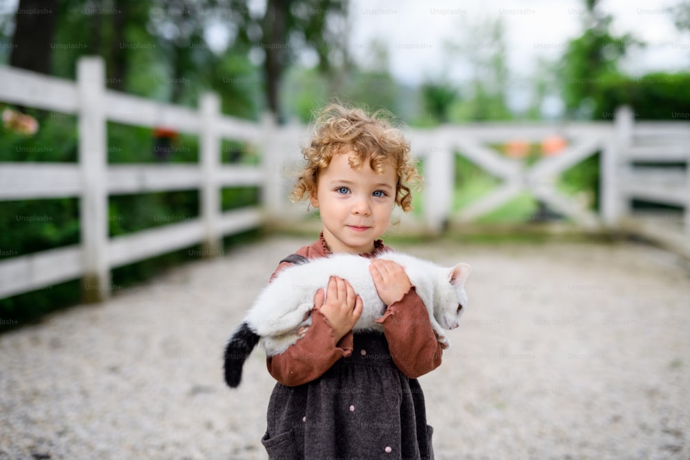 Retrato de una niña pequeña con un gato de pie en la granja, mirando a la cámara.