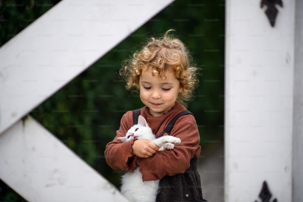 Porträt eines süßen kleinen Mädchens, das auf dem Bauernhof steht und eine Katze hält.
