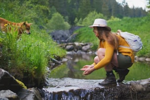 夏の自然の中で屋外を散歩し、手を洗う小川のそばに立っている犬を連れた幸せな若い女性。