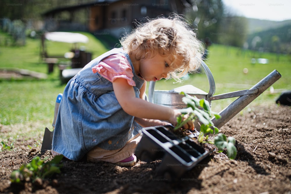 Happy small girl planting outdoors in garden, sustainable lifestyle concept.