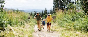 Front view of family with small son hiking outdoors in summer nature.