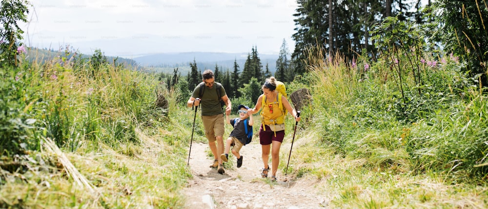 Front view of family with small son hiking outdoors in summer nature.