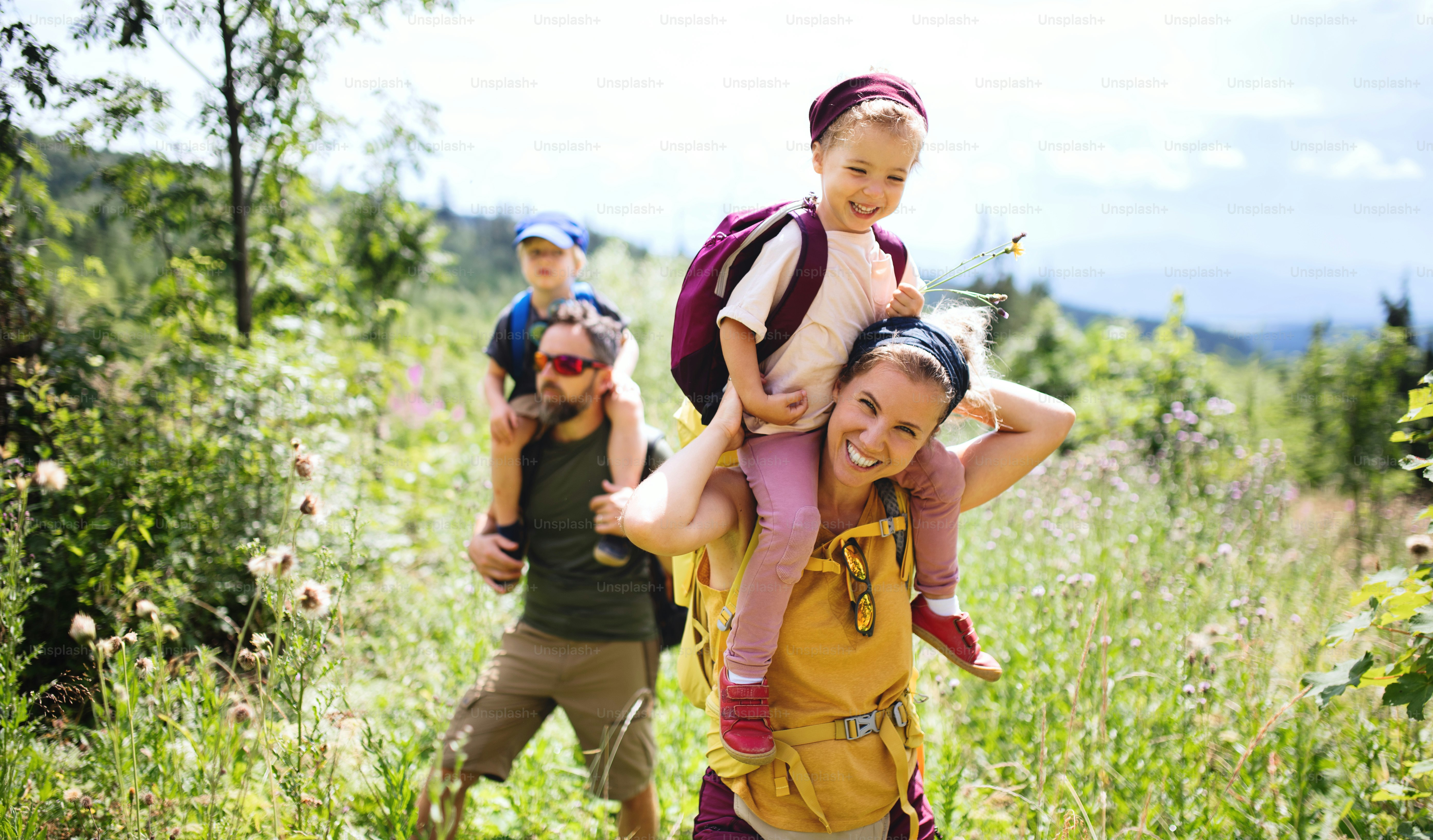 Vorderansicht der Familie mit kleinen Kindern, die im Sommer in der Natur im Freien wandern.