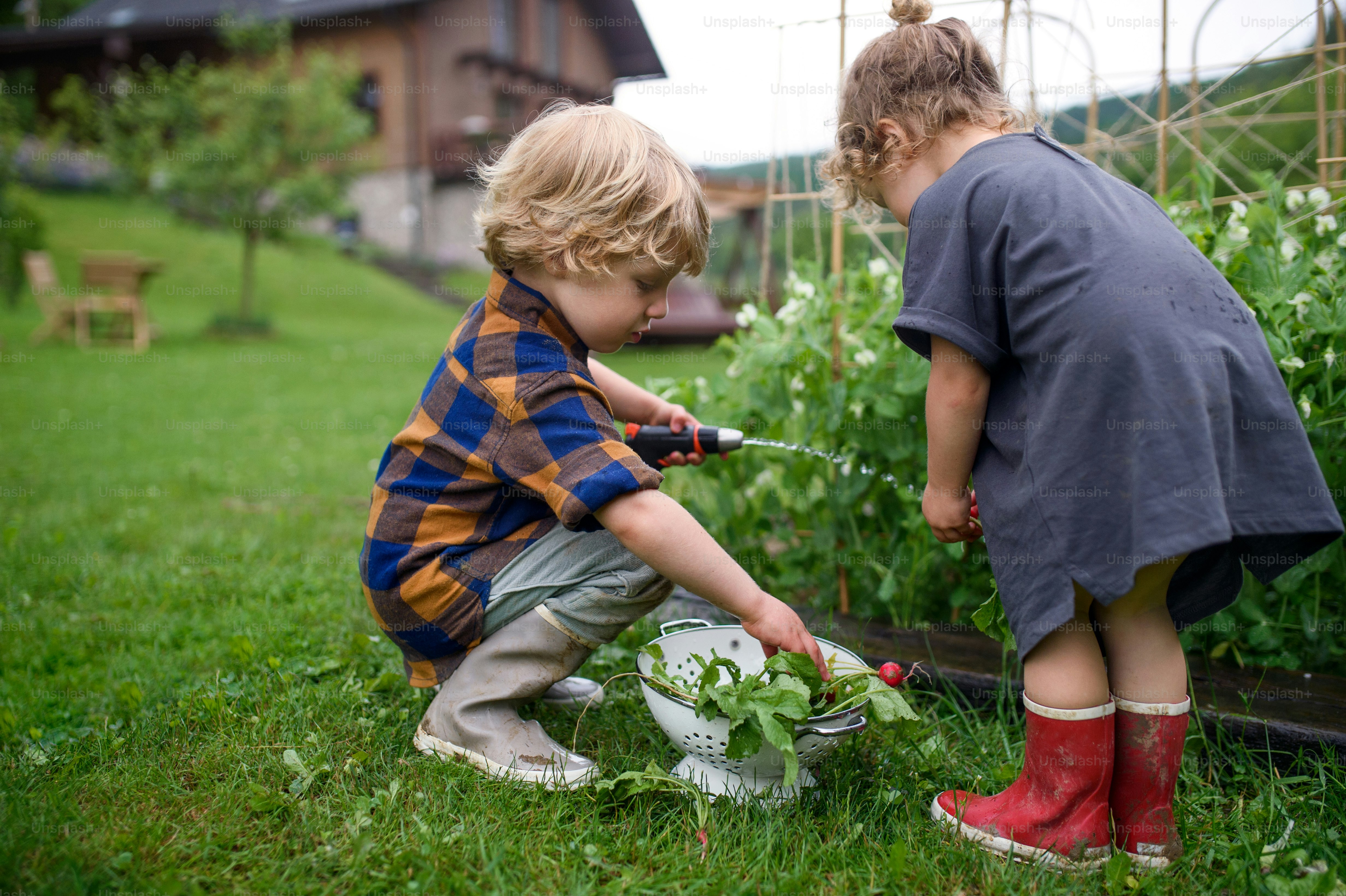 Toddler playing and developing skills