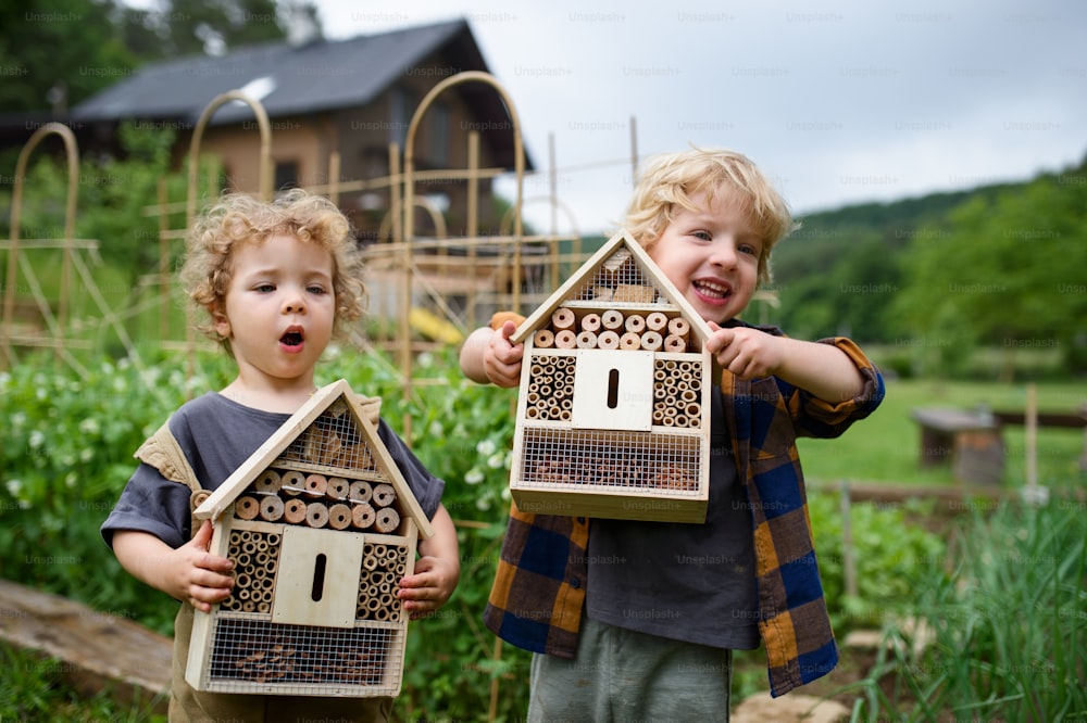 Portrait of small boy and girl holding bug and insect hotel in garden, sustainable lifestyle.