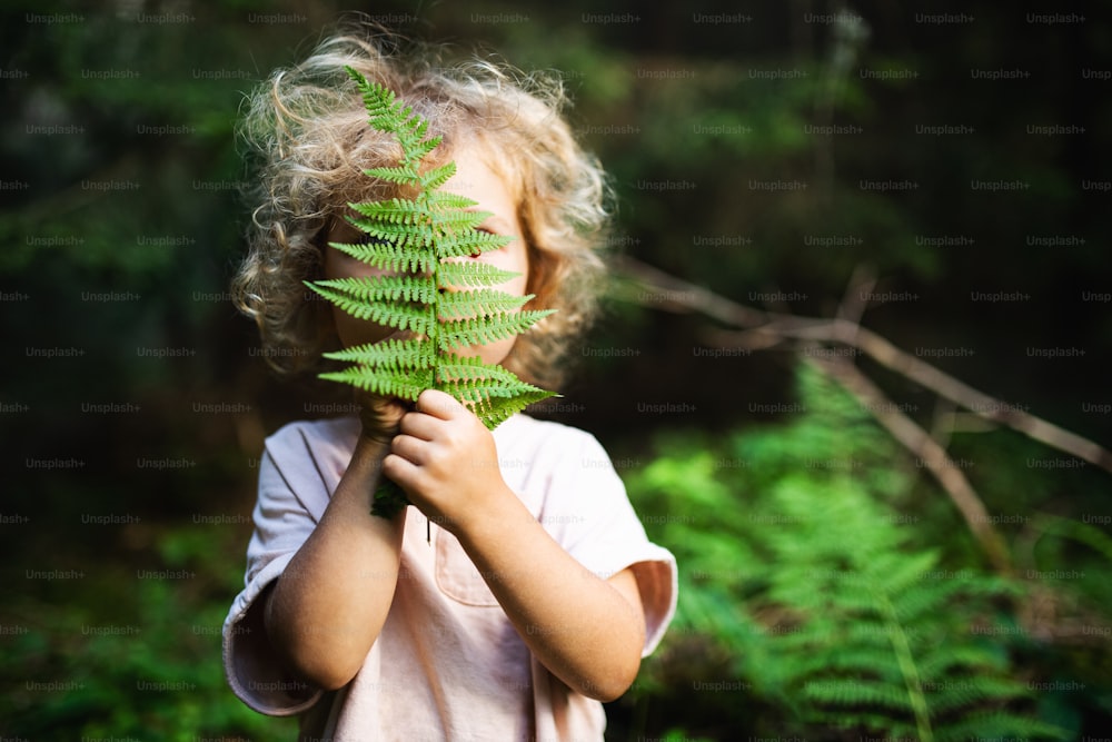 Unrecognizable happy small child outdoors in summer nature, hiding against fern leaf.
