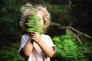 Unrecognizable happy small child outdoors in summer nature, hiding against fern leaf.