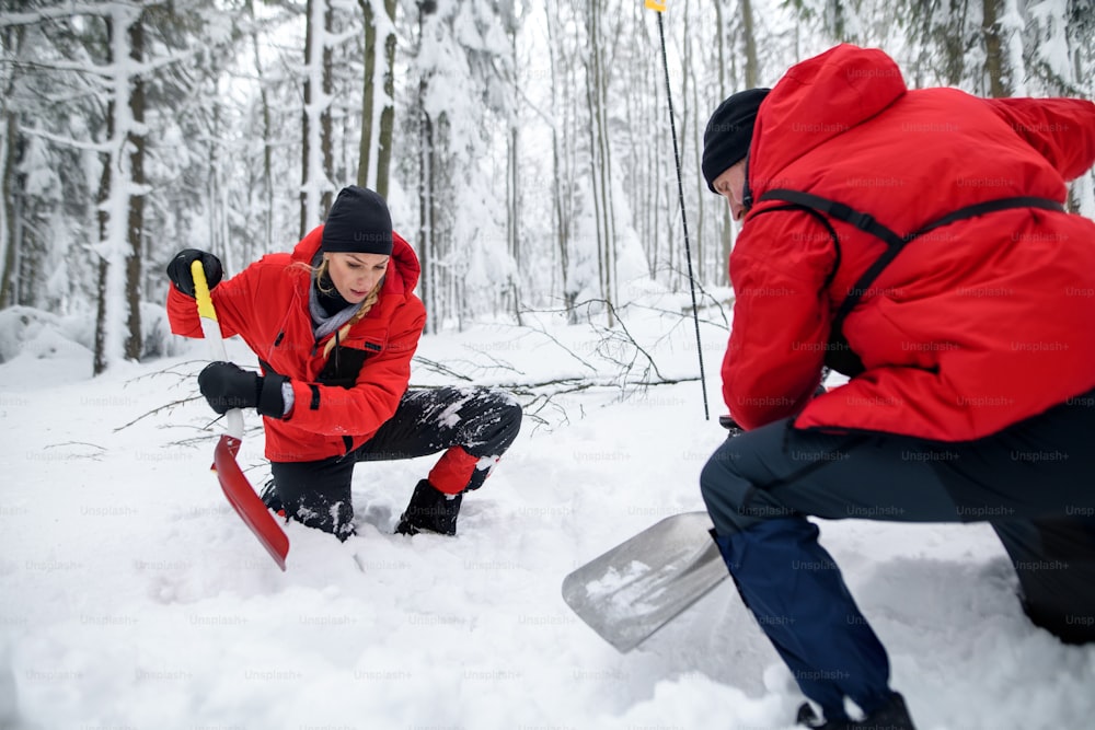 Servizio di soccorso alpino in servizio all'aperto in inverno nel bosco, scavando la neve con le pale. Concetto di valanga.