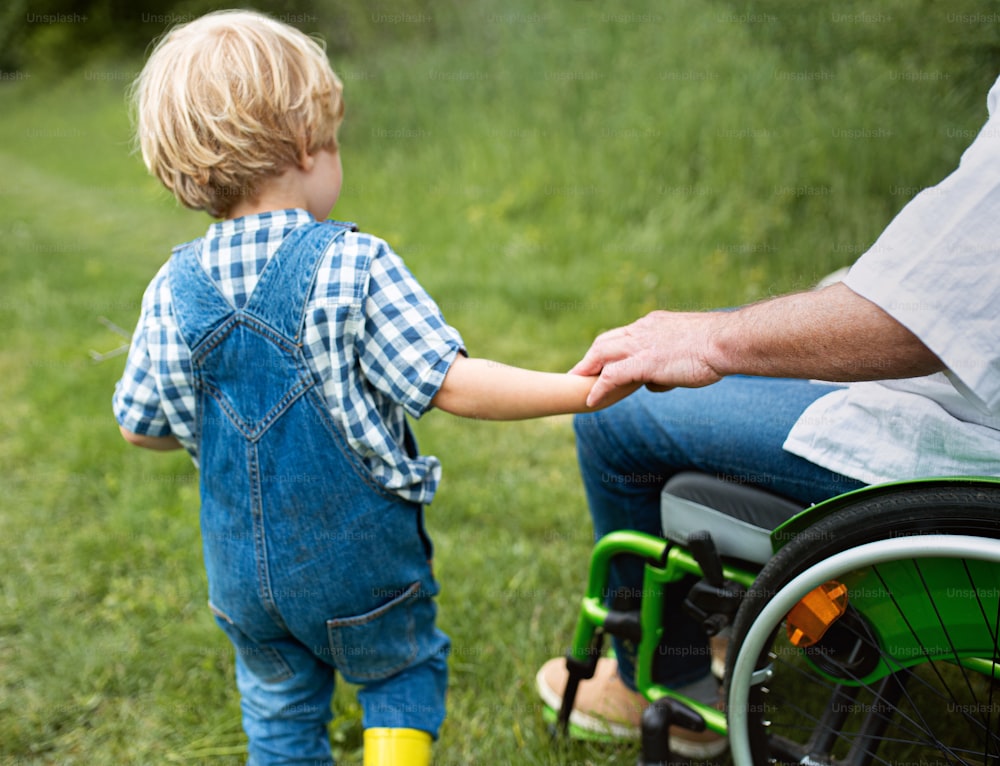 Rear view of small boy with unrecognizable senior grandfather in wheelchair on a walk on meadow in nature.