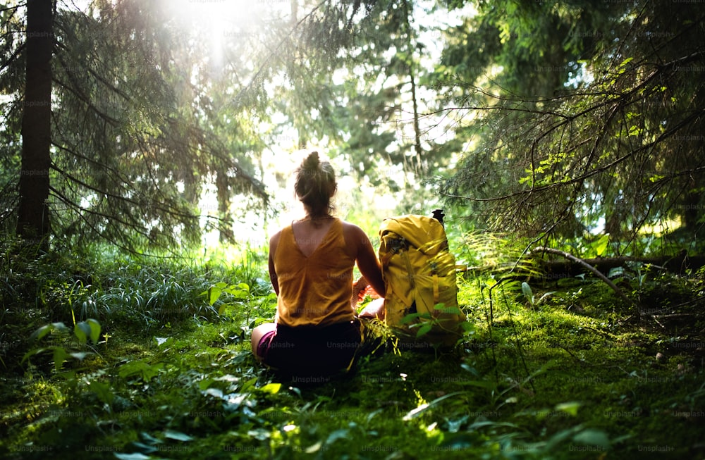 森の中の屋外の地面に座り、休息と瞑想をしている女性ハイカーの後ろ姿。