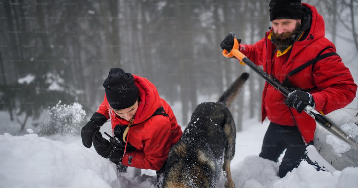 TCS Swiss Ambulance Rescue Rileva Il Servizio Di Soccorso Intermedic - Foto 4