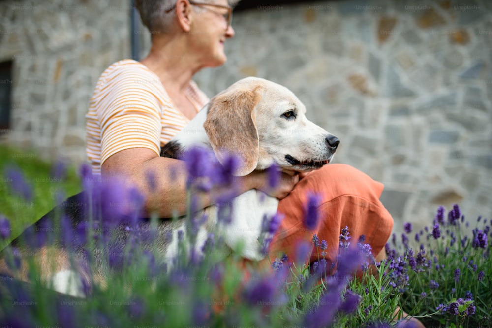Portrait of senior woman with dog sitting and resting outdoors in garden, pet friendship.