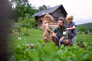Portrait of small children with father working in vegetable garden, sustainable lifestyle.