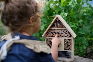 Una vista posteriore di una bambina che gioca con l'insetto e l'insetto in giardino, stile di vita sostenibile.