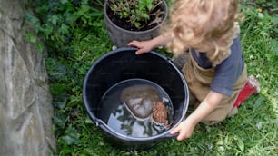 A top view of small girl playing with frog outdoors in summer.