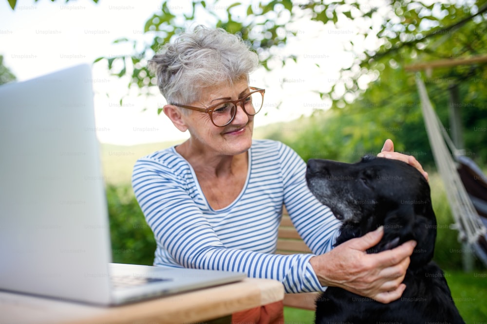 Mujer mayor activa con computadora portátil y perro trabajando en la mesa al aire libre en el jardín, concepto de oficina en casa.