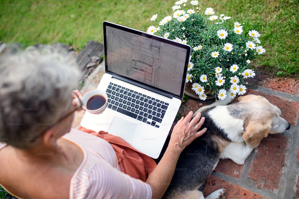 노트북과 개가 정원, 홈 오피스 개념에서 야외에서 일하는 수석 여성 건축가의 상위 뷰.