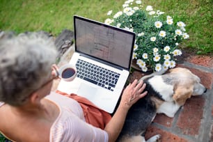 Top view of senior woman architect with laptop and dog working outdoors in garden, home office concept.