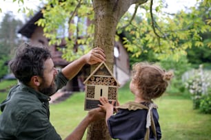 Rear view of small girl with father holding bug and insect hotel in garden, sustainable lifestyle.