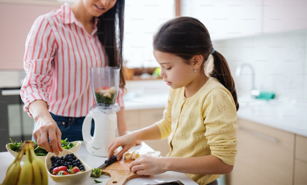 Mother with small daughter indoors at home, preparing healthy fruit smoothie drink.