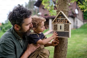 Rear view of small girl with father holding bug and insect hotel in garden, sustainable lifestyle.