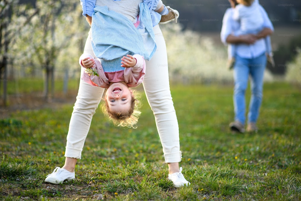 Unrecognizable mother holding cheerful small daughter upside down outdoors in spring nature.