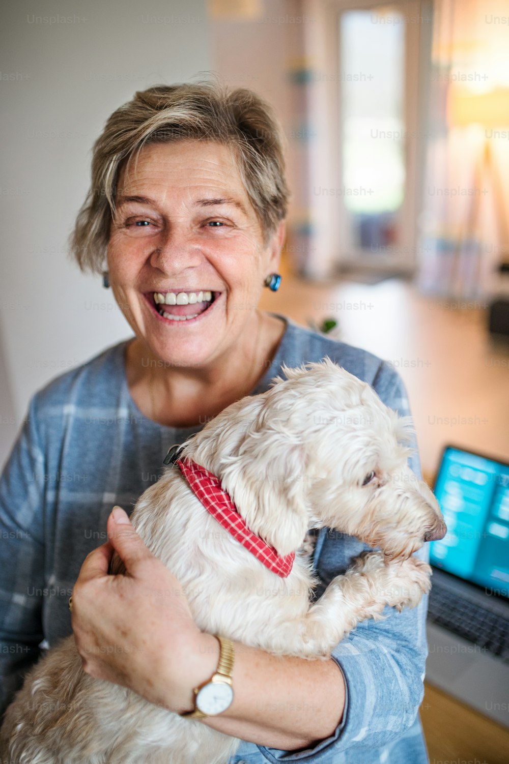 Mujer mayor alegre con perro mascota y computadora portátil que trabaja en la oficina en casa.