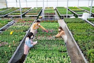 Vista superior de un grupo de personas que trabajan en un invernadero en un centro de jardinería, concepto de coronavirus.