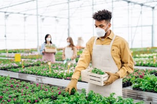 Young african-american man with face mask working in greenhouse, coronavirus concept.