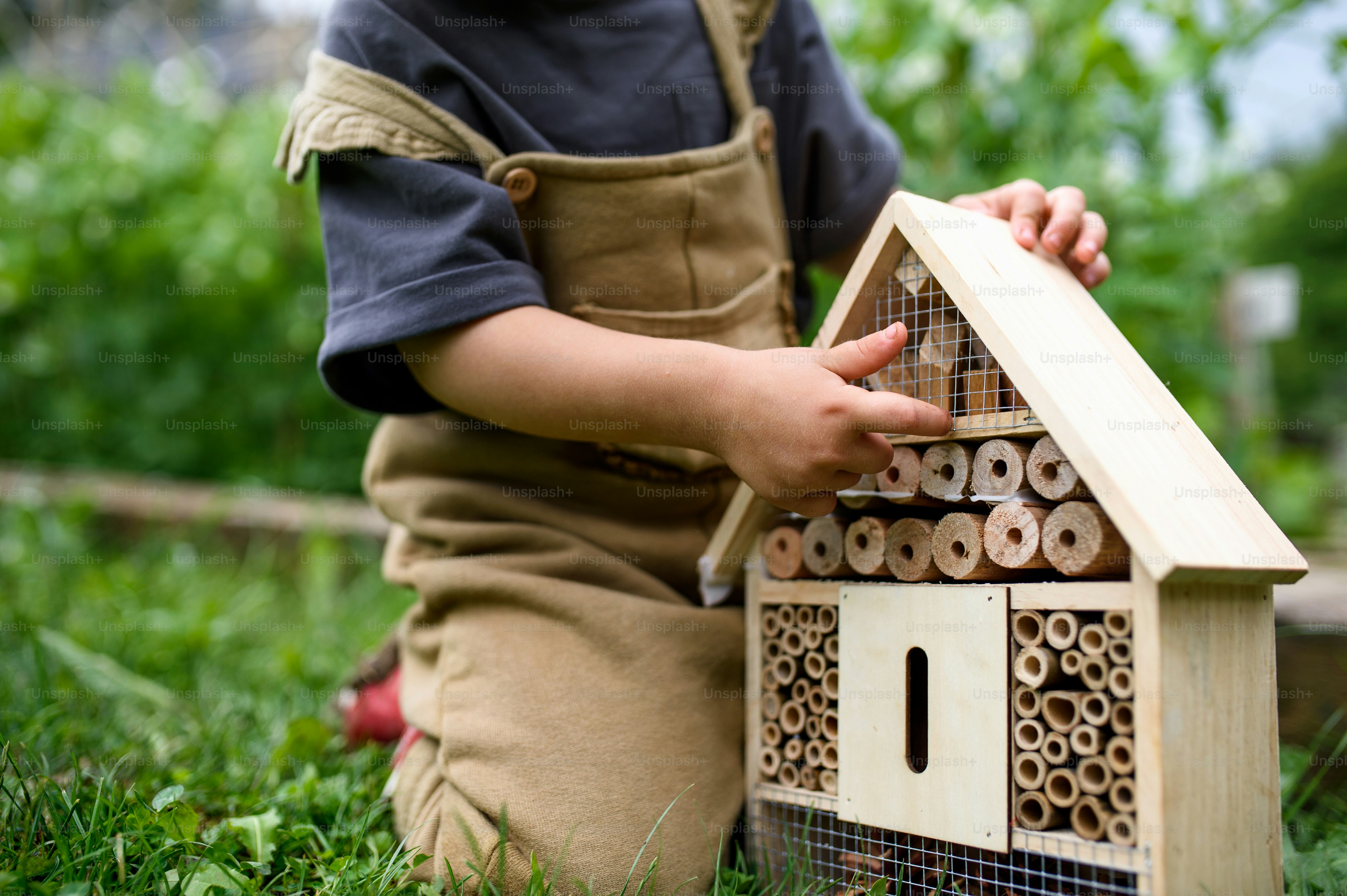 Foto Niño pequeño oscurecido jugando con un hotel de insectos y bichos ...