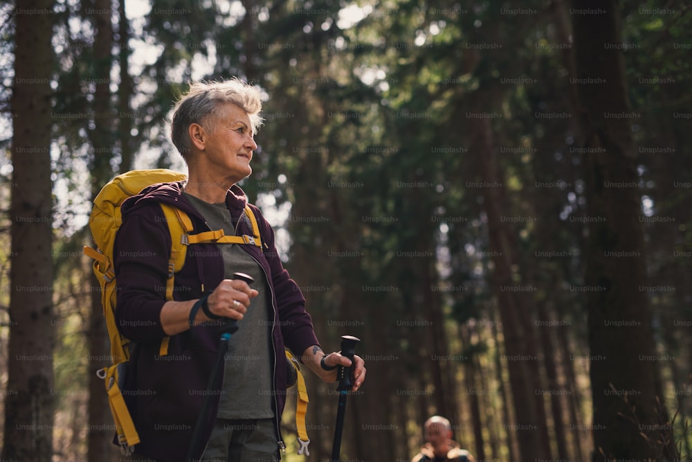 야외에서 자연 속에서 숲속을 걷고 산책하는 노인 여성 등산객.