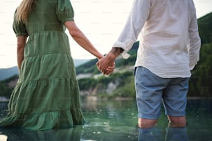 A rear view of mature couple in love standing in nature, holding hands.