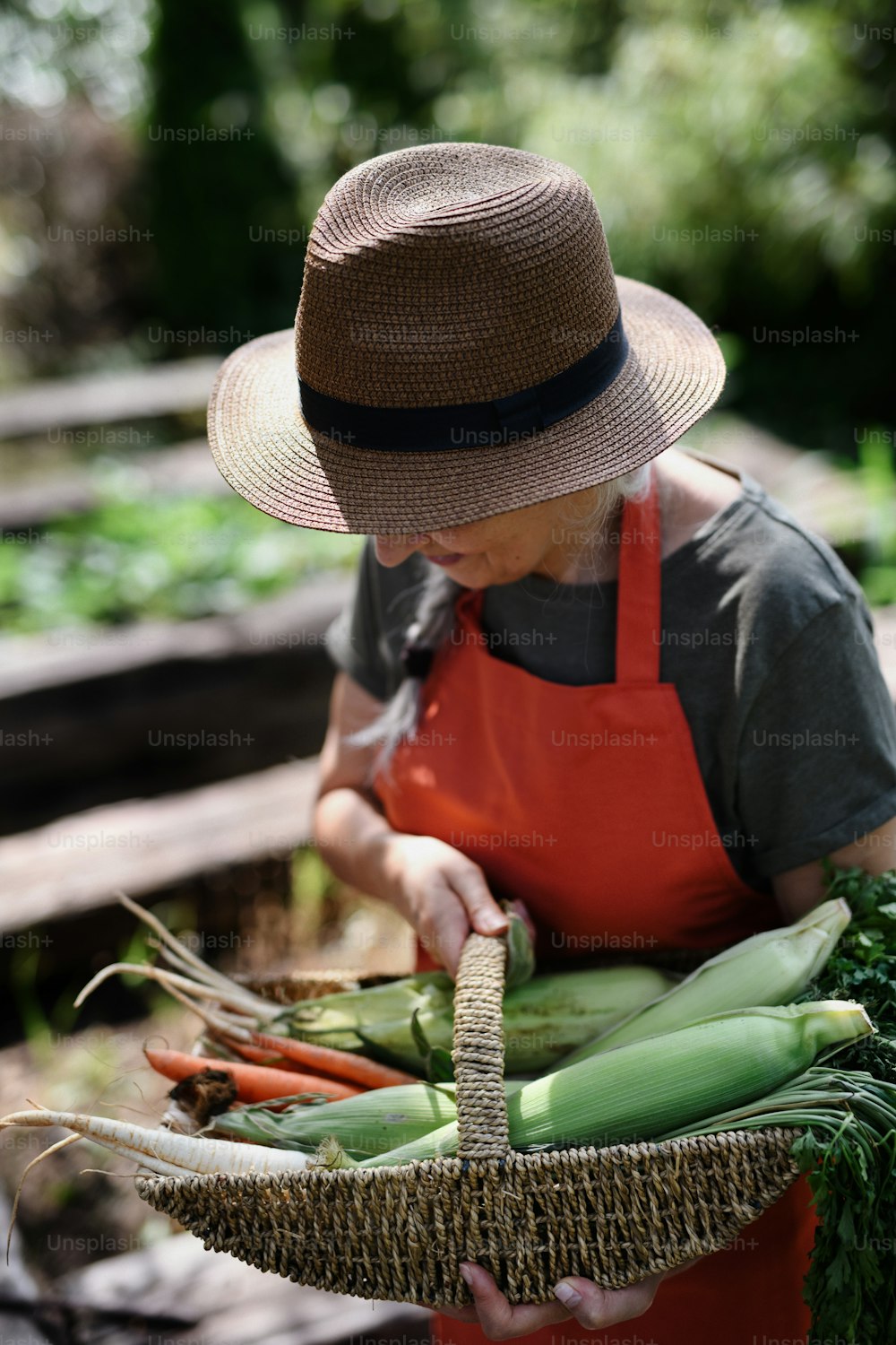 Uma agricultora sênior irreconhecível carregando cesta com vegetais caseiros ao ar livre na fazenda comunitária.