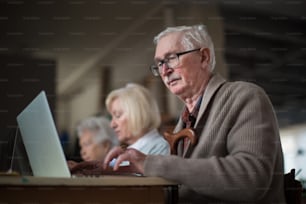 A senior group in retirement home learning together in computer class