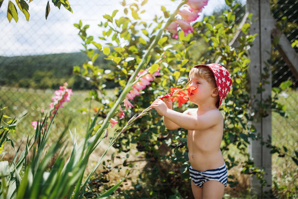 A small boy with a hat standing outdoors topless in garden in summer, smelling flowers.