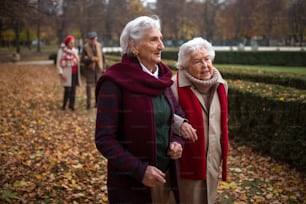 Senior women friends on a walk outdoors in town park in autumn, holding each other and talking.