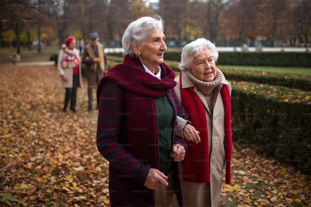 Senior women friends on a walk outdoors in town park in autumn, holding each other and talking.
