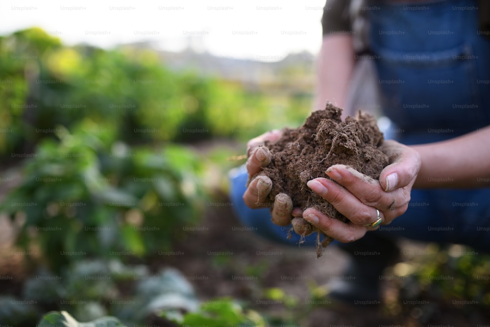 A close up of female famer hands holding soil outdoors at community farm.
